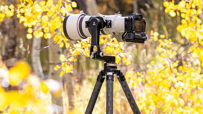 Really Right Stuff's most affordable carbon fiber tripod yet still holds up to 40 pounds for pro-grade gear