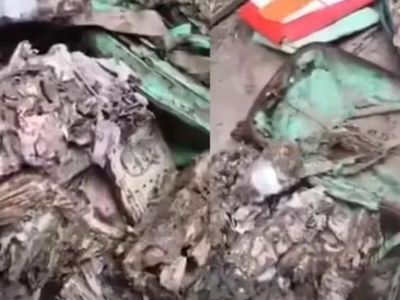 Termite-damaged cash worth over Rs 1 lakh found in Kolkata college union room; probe under way