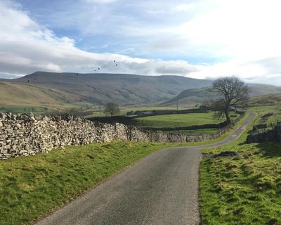 Country diary: My family has lived near here for 300 years – no wonder it feels like home