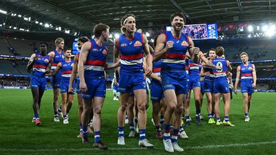 Western Bulldogs inundated by wave of AI-generated disinformation