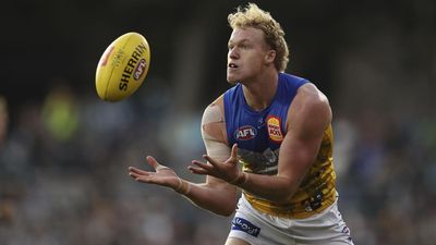 Ginbey turns lemons to lemonade as rebuild takes shape