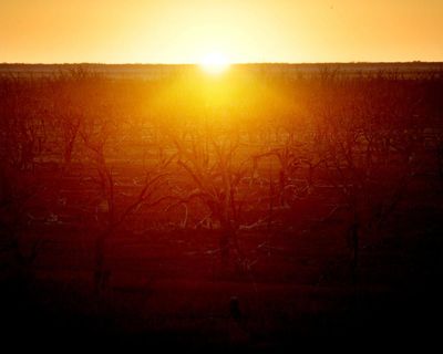 Afternoon Update: BoM’s El Niño prediction; academic used AI to write op-ed; and gen Z’s fear of being cringe