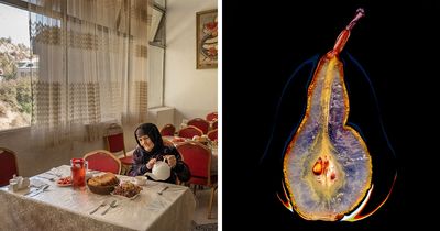 39 Breathtaking Shots That Won The 2026 World Food Photography Awards