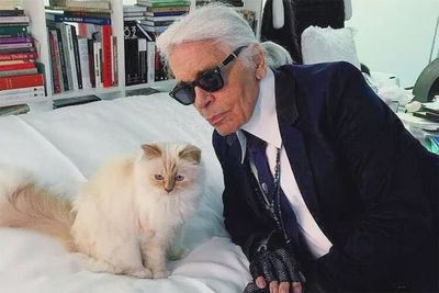 Karl Lagerfeld’s beloved cat Choupette ‘still waiting for inheritance’ seven years after designer’s death