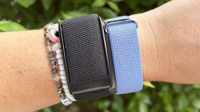 I tested the Fitbit Air vs Whoop 5.0 side by side — here's the winner
