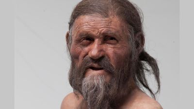 'It was very very good': Ötzi the Iceman's body is covered in ancient yeast — and scientists just used it to make a sourdough