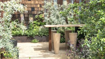 This Easy-to-Make June Gardening Mistake Could Stop Your Yard From Thriving –Here's What to Do Instead
