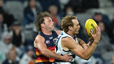 Stewart looms large in Crows' planning for Cats