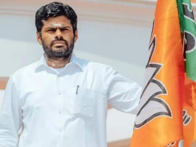 Amidst buzz of Annamalai quitting, BJP cadres demand clarification, posters hail former president