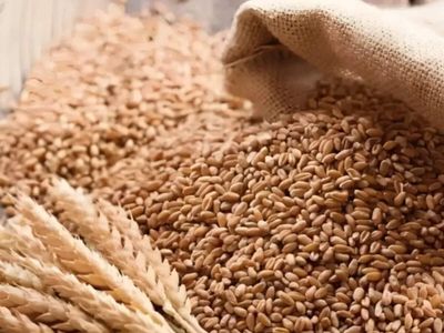 Government's wheat procurement surges 17pc to 35 million tonnes, exceeds target for 2026-27 season