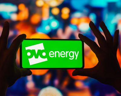 Ovo Energy to pay more than £10m over prepayment meter monitoring failings
