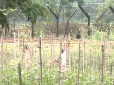 West Bengal hands over 32 acres to BSF for Bangladesh border fencing