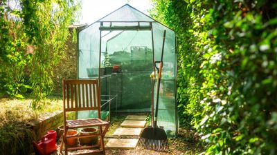 This Mini Greenhouse Is a Small Garden Game-Changer –Helping You Grow More Food, Flowers, and Herbs in a Tiny Space