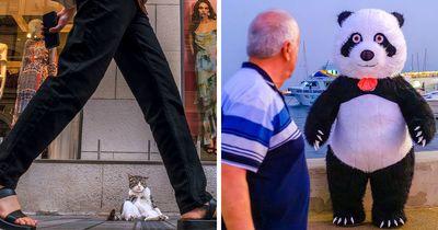 This Photographer Captures The Beautifully Odd Details Hiding In Plain Sight Around Cities (80 Pics)