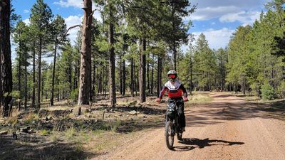 The Off-Roading Executive Order Is A Land Sell-Off In Disguise. Don't Be Fooled