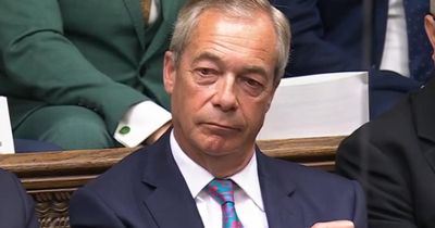 MPs turn on 'unforgivable' Nigel Farage amid Henry Nowak murder