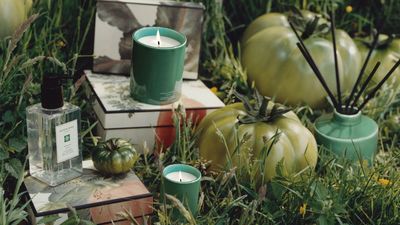 Jo Malone London Just Gave the Tomato Vine Scent Trend a New Look in These Vibrant Limited Edition Ceramics