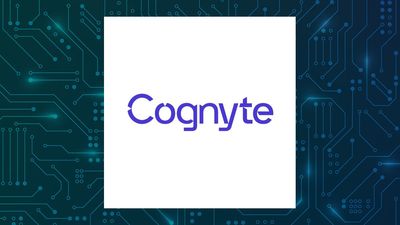 Cognyte Software Q1 Earnings Call Highlights