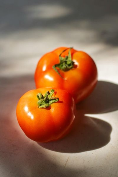 The Tomato Trap: Why Fresh Produce Prices Are Rising as Import Costs and Weather Squeeze Supply