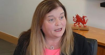 'Golden opportunity': Plaid DFM says Celtic Alliance will 'make Westminster listen'
