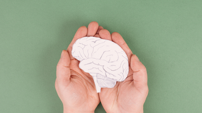 The gut-brain bombshell: How bacteria in babies may hold the key to preventing Autism, ADHD