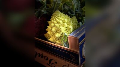 8-year-old wins top prize in world's leading food photography competition with smartphone shot