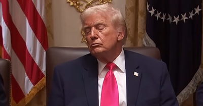 'You Just Lied': Rubio Says He's Never Seen Trump Sleep, Ted Lieu Responds With a POTUS Napping Video