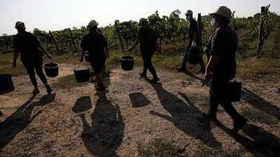 Gangmasters and extreme violence: Four farm workers burned to death in Italy