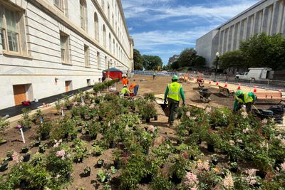 ‘Tough lessons’: House braces for Rayburn renovation
