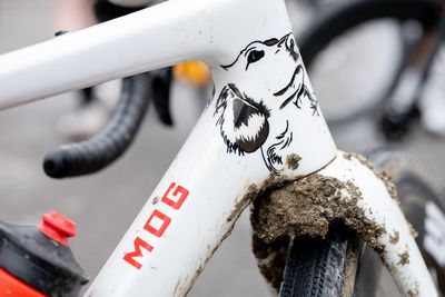 Tribute to a man's best friend - Alexey Vermeulen's custom-painted 'Sir Willie' Enve bike for Unbound Gravel