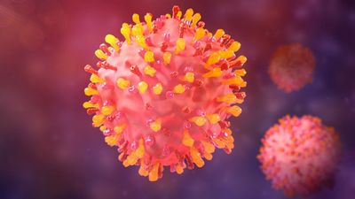 A cheap arthritis drug shows promise treating RSV in early study