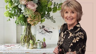 I've tried everything – Nancy Birtwhistle's vase cleaning hack is the only thing that leaves glass sparkling like new