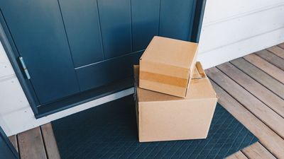 Pests could enter your home through your packages — 3 tips to prevent unwanted roaches, beetles or ants