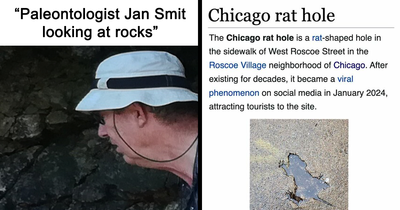 82 Wikipedia Pages That Made People Go “Hmmmm”