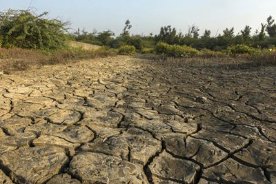 Global warming likely to exceed 1.5C through 2030, WMO says