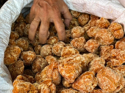 20,000 kg sugar-mixed jaggery, coloured peas seized in Pune food safety department raids