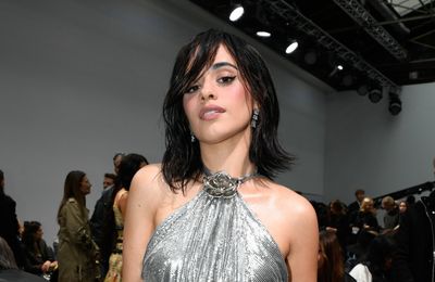 Camila Cabello 'splits' from boyfriend
