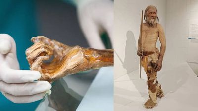 5300-year-old Europe’s oldest mummy may be ‘alive’: Scientists reveal shocking microbial activity