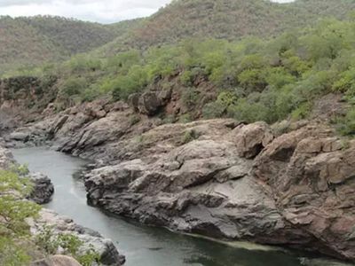 Mekedatu dam row: TVK mortgaged Tamil Nadu rights by offering RS seat to Congress, says BJP
