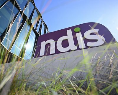 Labor’s planned NDIS overhaul is ‘blunt and inequitable’, thinktank says