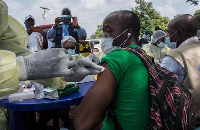 The race to combat Ebola: what vaccines and treatments are being developed and how long will it take?