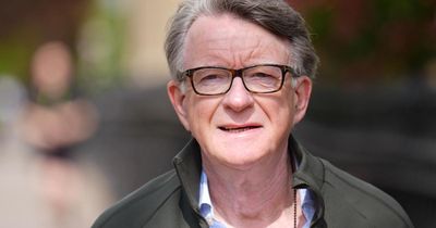 Top Labour minister told Peter Mandelson he was 'so sorry' after sacking