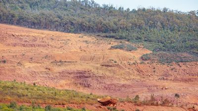 Call for reform amid rampant land clearing, nature loss
