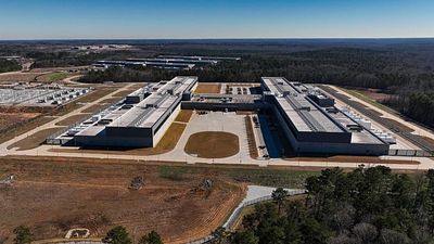 Be less polite: How to cut your AI impact as UN report reveals data centre energy use rivals nations