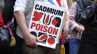 French MPs approve tougher cadmium limits despite government opposition