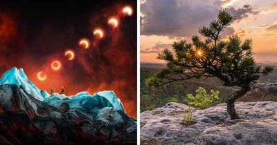 The Best Nature Photos From The 2025 Chromatic Awards Show Just How Powerful Color In Nature Can Be (54 Pics)