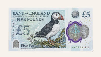 Churchill Won't Be on UK Banknotes for Long: Hedgehogs and Puffins Could Replace Historic Icons