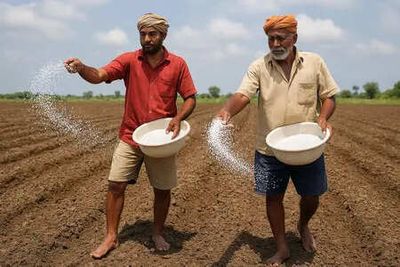 India's ageing ammonia plants need upgradation, says industry body FAI