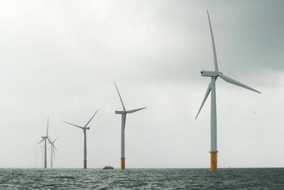 New research shows projected offshore wind could cover 11% of North Sea by 2050