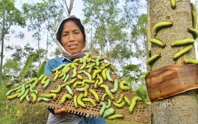 From Mizo ginger to Nagaland's coffee, here's how govt plans to make Northeast as 'Ashtalakshmi' for world